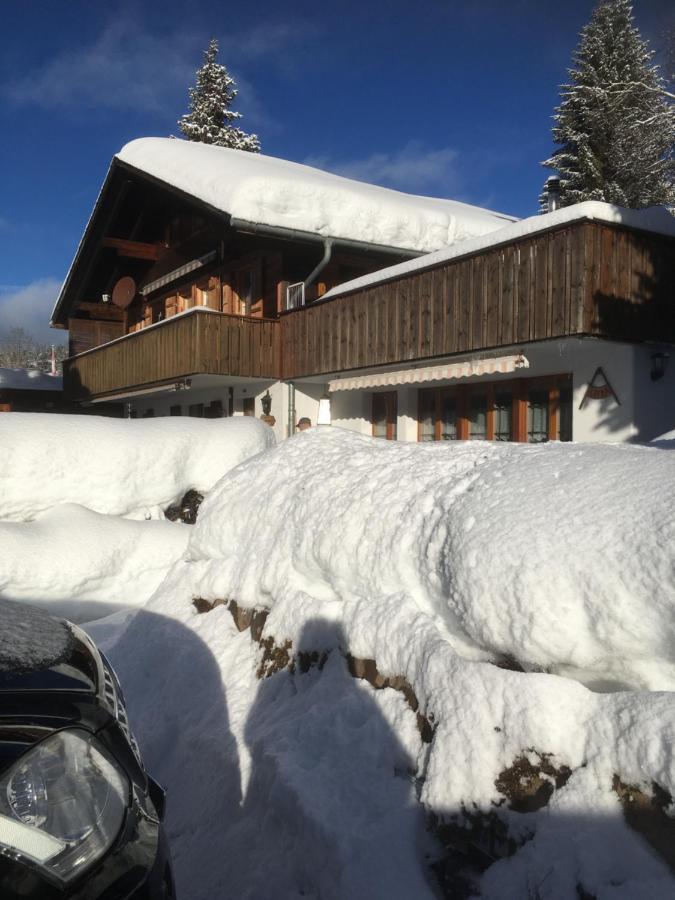Chalet Erika Eriz Exterior foto