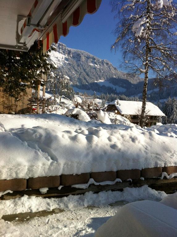 Chalet Erika Eriz Exterior foto